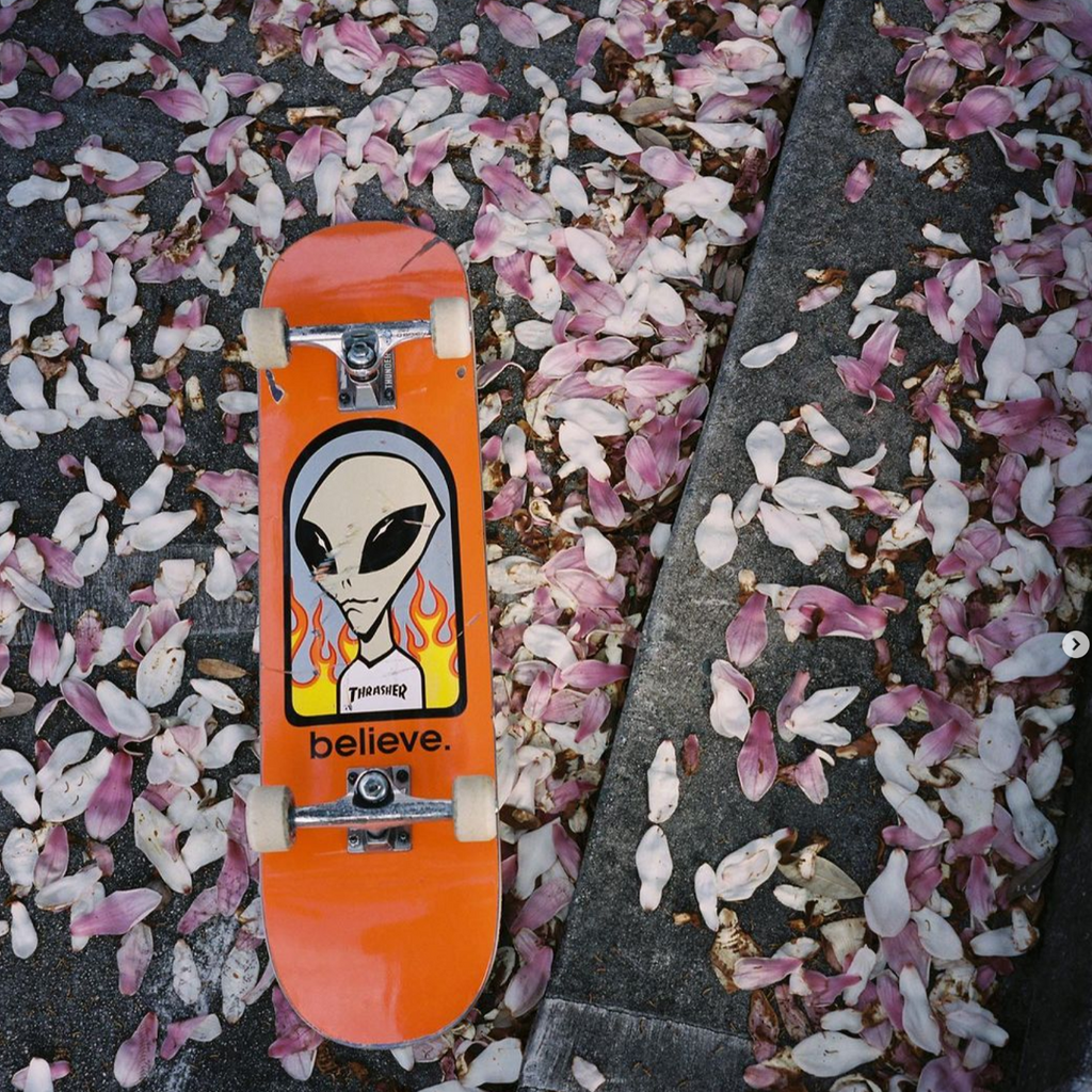 Complete Skateboards